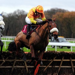 Caballos